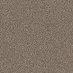True Spirit 40oz - 701 - Truffle (UPGRADE)