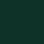 METAL ROOF - FOREST GREEN