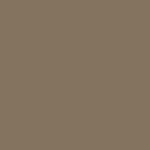 SW 6151 - Quiver Tan