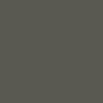 SW 6202 - Cast Iron